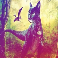 don't lie (feat. bugboi) - Single - noa starkie