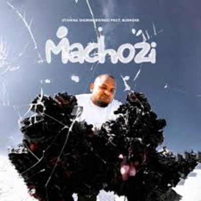 Machozi (feat. Bushoke) - Single