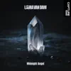 Laura Van Dam - Midnight Angel