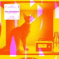 Parallel Reality — Tal Fussman