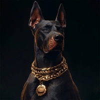 EL GOATY - EP - MCR-T & Sesh