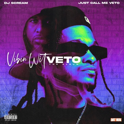 Vibin With Veto : The Album