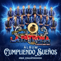 Mi Fantasía - Single - Banda La Patrona de Acatlan