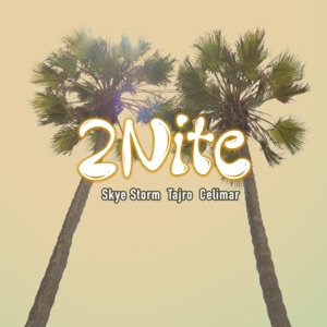 2Nite (feat. Celimar & Skye Storm) - Single