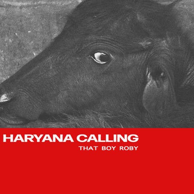 Haryana Calling - Single