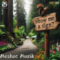 Show me a sign - Single - Meshec Muzik