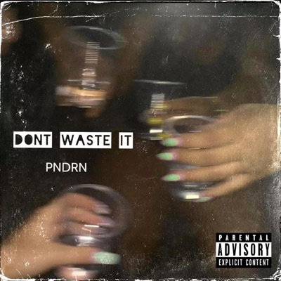 Don't Waste It - Single