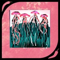 5 Beats a Week - Wyl