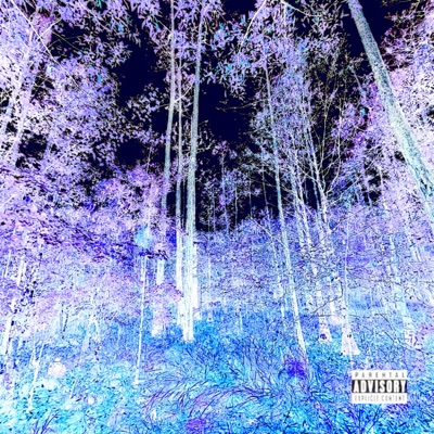 Psychedelic Forest - EP