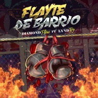 Flaite De Barrio (feat. Lynd Ro) - Single - Diamond Flow