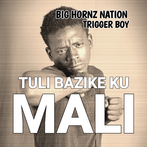 Tuli Bazike Ku Mali (feat. Trigger boy)