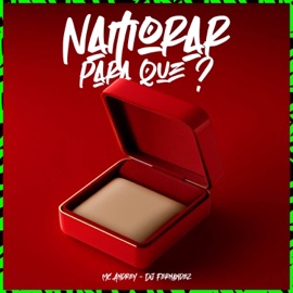 Namorar Para Que? Mc Andrey & DJ Fernandez