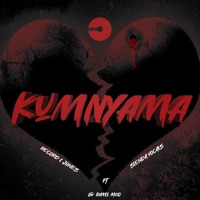 Kumnyama (feat. Slenda Vocals & Rams Moo) - Single - Record L Jones
