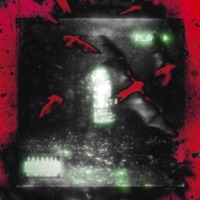 Medusa (feat. GenZGhost) - Single - MidwestPimpen