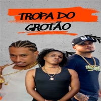 Tropa do Grotão - Single - DJ Da Penha 22, Dj Cabelão Do Turano & DJ Vinicinho da Penha