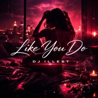 Like You Do - Single - DJ Illest