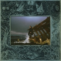 In Violet - Single - Searows