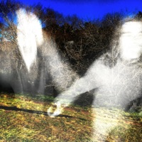 timidez - Single - Perswave