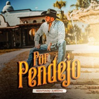 Por Pendej0 - Single - Santiago Arroyo