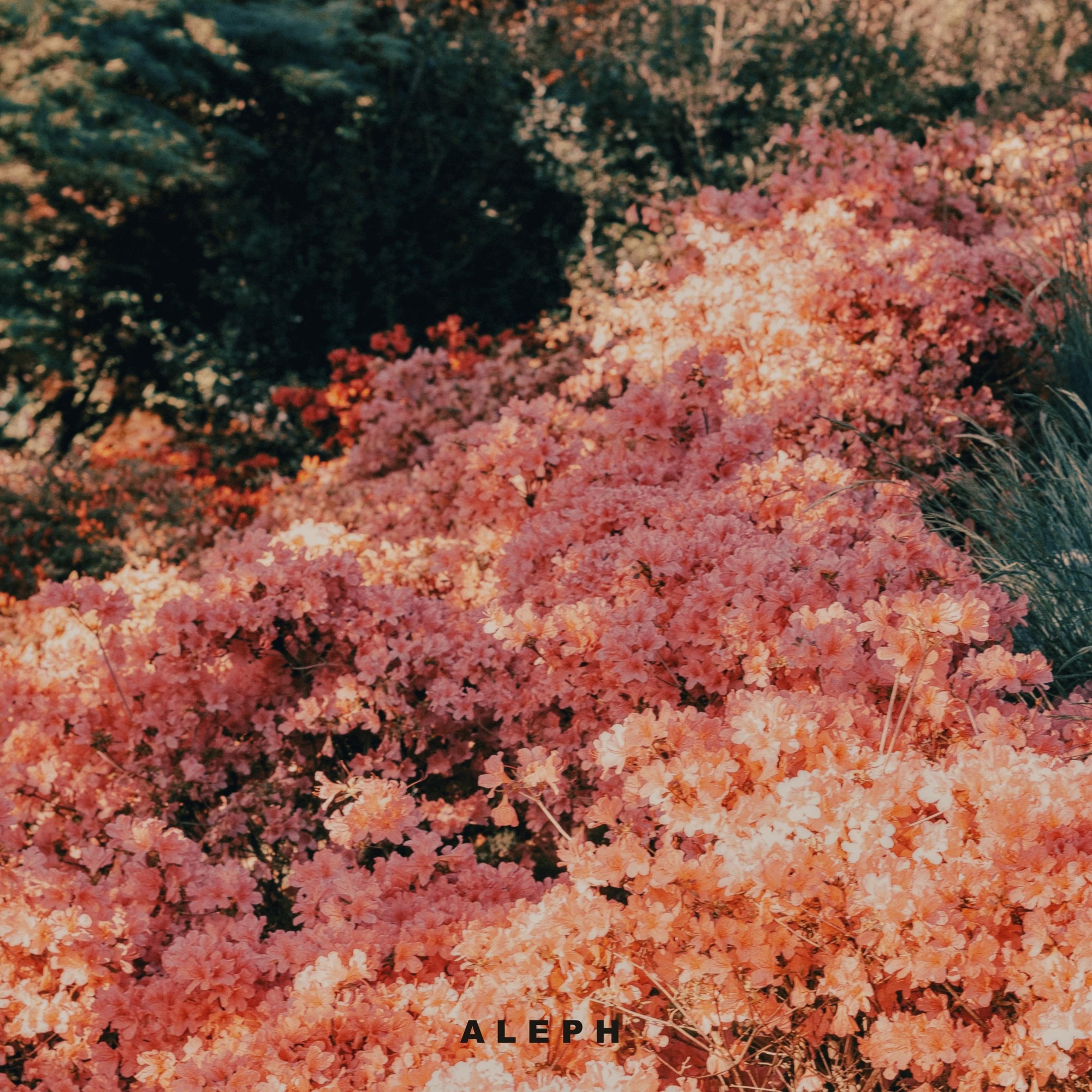 ALEPH – I knew it – Single Cover