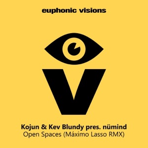 Open Spaces (Máximo Lasso Remix) - Single