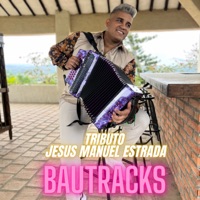 Tributo a Jesús Manuel Estrada (En Vivo) - Single - Bautracks