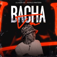 Bachata - Single - Lil Alex OG & Puyalo Pantera