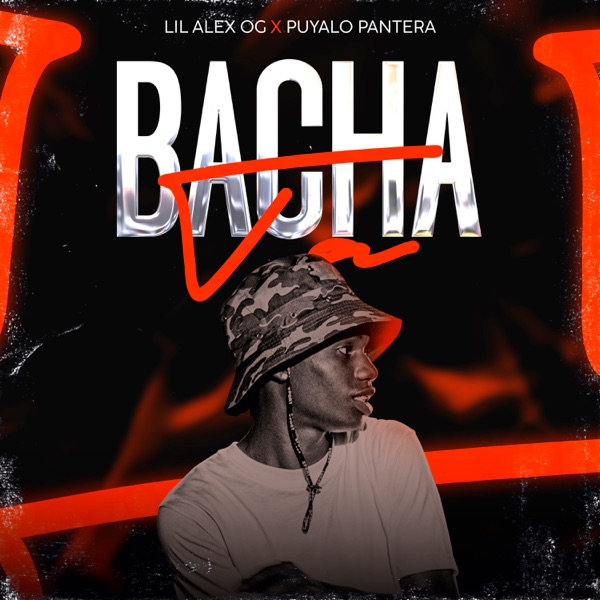 Bachata