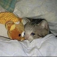 i h8 myself - Single - Mnfobia