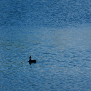 Lumiere III - Claudio Constantini