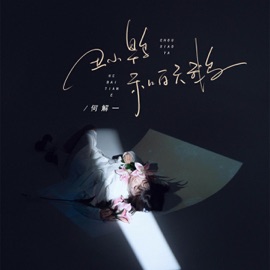 丑小鸭和白天鹅 何解一