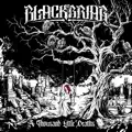 Bluebeard's Chamber