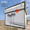 The Bats - Corner Coming Up artwork