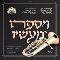 V'Yisapri Maasov - ויספרו מעשיו (feat. Zanvil Weinberger) - Single - David Kaufman