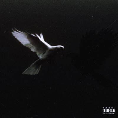 Been a fact (feat. Keezo) - Single