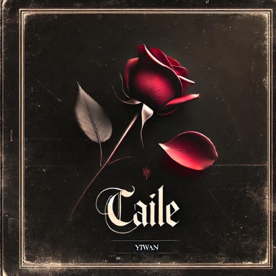 CAILE - Single