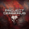 Project Cerberus