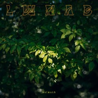 LWNAB - Single - Helmuth