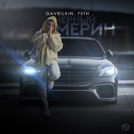 Чёрный мерин GAVRILKIN & 7.5th
