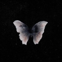 cause i know - Single - LTSO