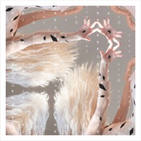 Levantar La Voz - Single - Binaria & Tribu Oro