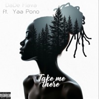 Take me there (feat. Yaa Pono) - Single - Dade Flava