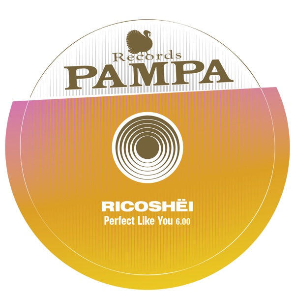 Perfect Like You / Woolloomooloo - Single