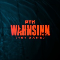 Wahnsinn (161 Bars) - Single - PTK