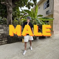 MALE - Single - Wojdi