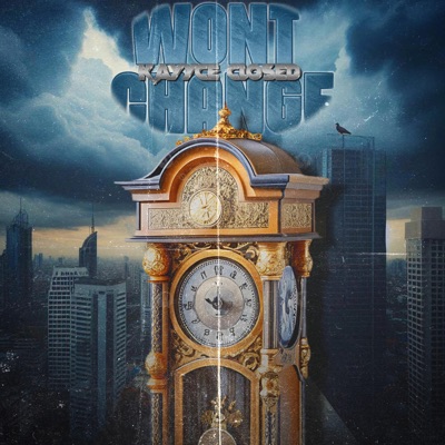 Wont Change - Single