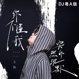 你不懂我突然的沉默 (DJ粤A版) Wang Yun