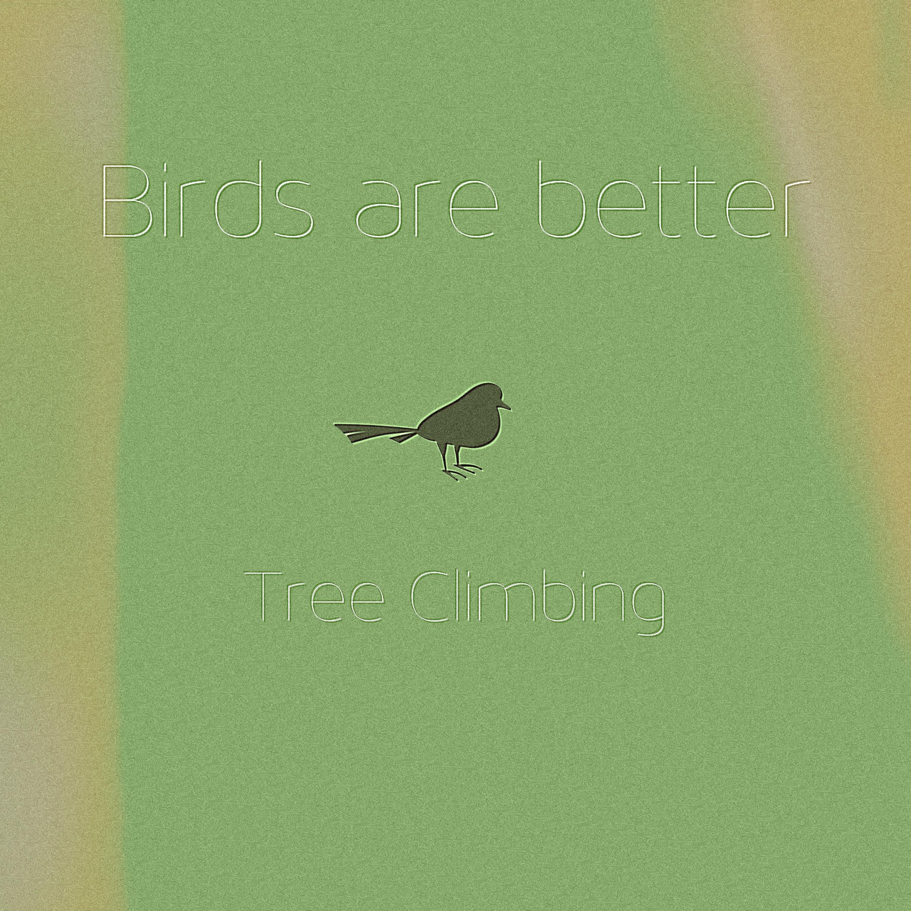 Tree Climbing - Single