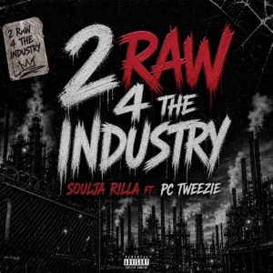2 Raw 4 The Industry (feat. Pc Tweezie) - Single