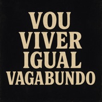 Vou Viver Igual Vagabundo - Single - Dj Ailton Lemes & DJ JHOSS
